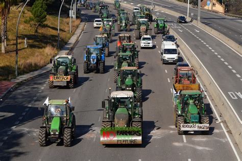 A Rebelião dos Agricultores em 1703: Um Protesto Agrícola Contra a Crítica Desigualdade Social no Japão Edo